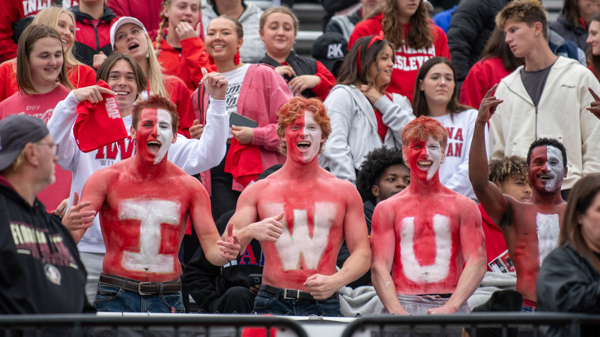 wildcat fans